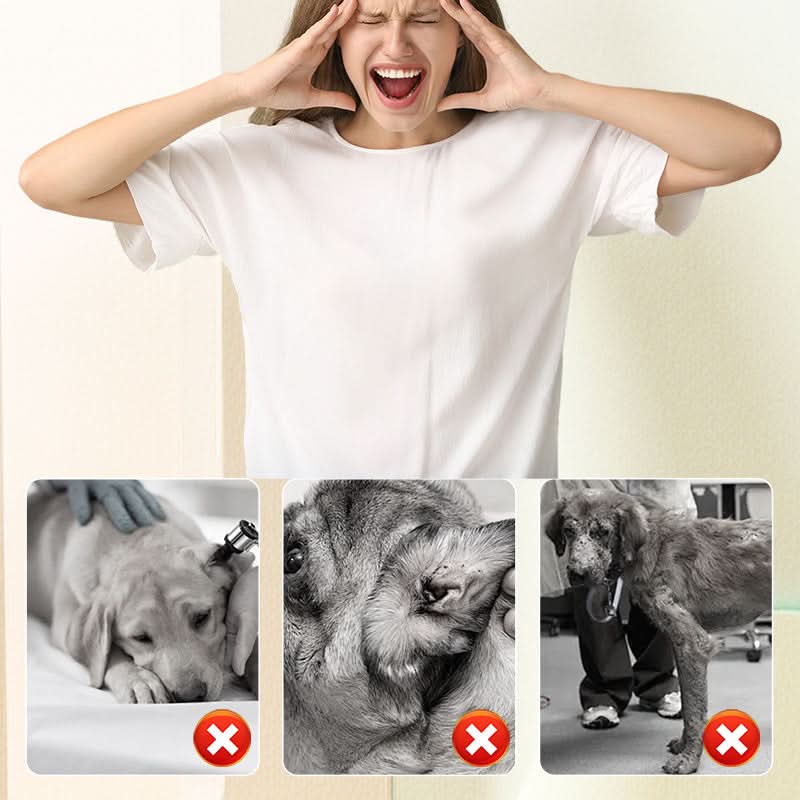 🔥Spray Anti-Puces Et Tiques Pour Chats Et Chiens